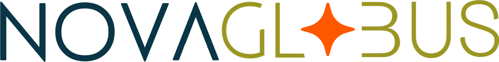 NovaGlobus Logo